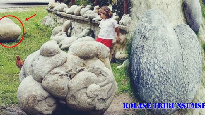 Sekilas Terlihat Seperti Batu 'Biasa',Namun Siapa Sangka Batu Ini Ternyata Hidup,Ilmuwan pun Melongo