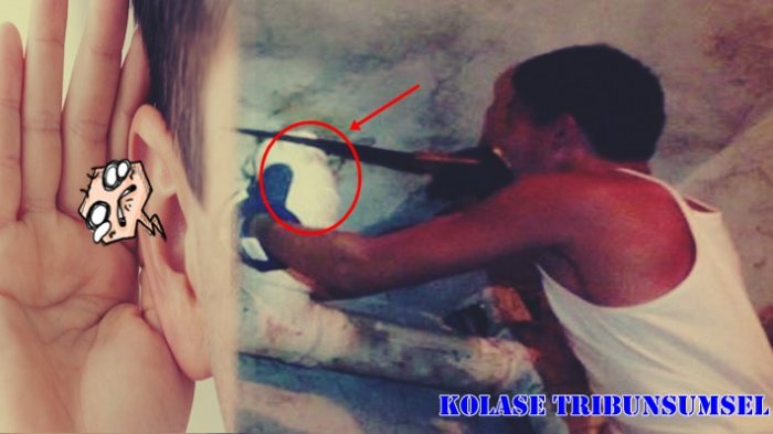 Dengar Suara Jeritan dari Lubang Toilet,Pria Ini Kaget Saat Dibongkar Ternyata Isinya Mengerikan !