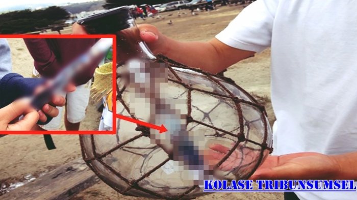 Pria Menemukan Botol Aneh di Pantai,Saat Dibuka Ternyata Didalamnya Ada Pesan Tidak Biasa!