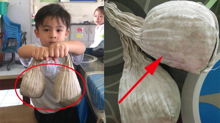 Guru TK Lakukan Sidak, Kaget Saat Lihat Benda Misterius yang Dibawa Muridnya, Ternyata