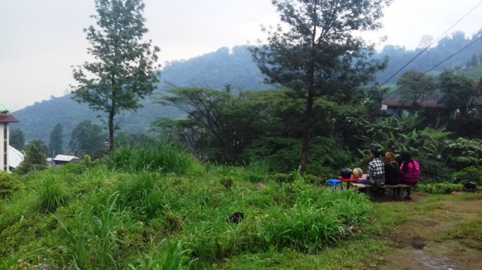 Terungkap, Mengapa Warung Kopi di Bogor Harganya Mahal, Ternyata ada Fasilitas Ini di Belakangnya