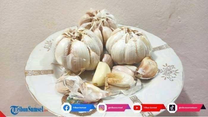 Zat yang Terkandung Dalam Bawang Putih untuk Menghilangkan Kutil, Berikut Cara Mengobatinya