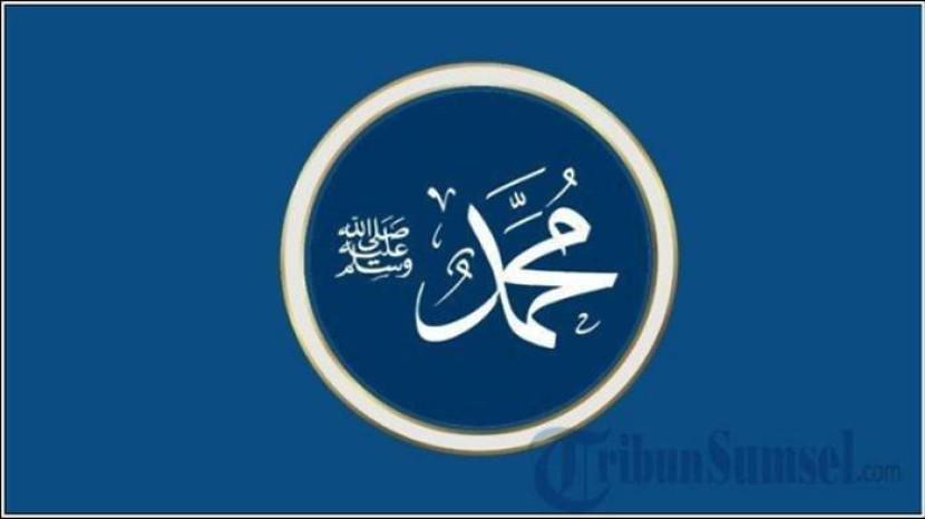 Tribun