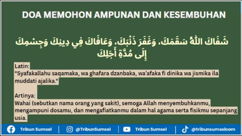 Tribun
