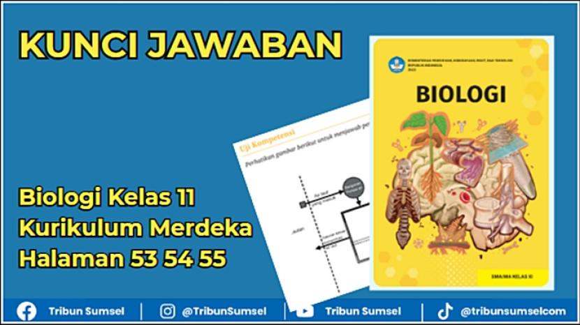 Tribun