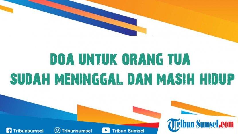 Tribun