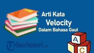 Arti-Velocity-dalam-Bahasa-Gaul-Istilah-Viral-Kekinian-di-TikTok-dan-Instagram.jpg