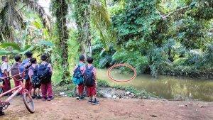 Buaya-5-Meter-di-Sungai-Kepuan-Musi-Rawas-Ramai-Ditonton-Anak-SD-Aparat-Desa-Beri-Imbauan.jpg