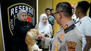 Detik-detik-Seekor-Kucing-Selamat-Dari-Penjagal-di-Pagar-Alam-Pelaku-Sebut-Sudah-100-Ekor-Dijual.jpg