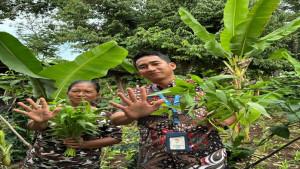 HBAP-Toreh-Prestasi-Internasional-Lewat-Program-Hijau.jpg