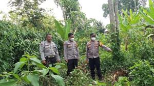 HEBOH-Warga-Temukan-Tulang-Belulang-Manusia-di-Kebun-Pisang-Kotaway-OKU-Selatan-Kondisi-Terpisah.jpg