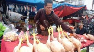 Harga-Ayam-Potong-di-Musi-Rawas-Melonjak-Jadi-Rp-42-Ribu-per-Kg.jpg