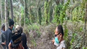Hilang-10-Hari-Lansia-di-Musi-Rawas-Ditemukan-Tewas-Membusuk-di-Kebun-Sawit.jpg