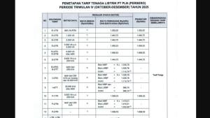 INFO-Tarif-Listrik-Subsidi-Bulan-Oktober-Desember-2025-Ini-Rincian-Lengkapnya.jpg