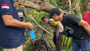 Identitas-kerangka-manusia-ditemukan-di-dalam-batang-pohon-aren-di-Kabupaten-Serdang-Bedag.jpg