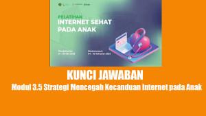 Jawaban-Soal-Modul-35-Strategi-Mencegah-Kecanduan-Internet-pada-Anak-Pintar-Kemenag.jpg
