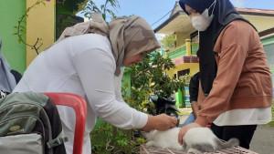 Jual-Daging-Kucing-Ngaku-Kambing-Warga-Pagar-Alam-yang-Terlanjur-Makan-Segera-Periksa-ke-Dokter.jpg