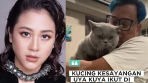 KUCING-UYA-KUYA.jpg