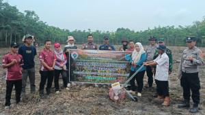 Kegiatan-penanaman-bibit-jagung.jpg