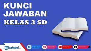 Latihan-Soal-UTSSTS-Matematika-Kelas-3-SD-Semester-1-Kurikulum-Merdeka-Beserta-Kunci-Jawabannya.jpg