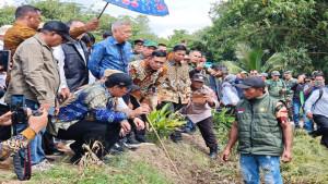 Mentan-Amran-Panen-Padi-di-Banyuasin-Yakin-Bisa-Jadi-Lumbung-Pangan-Nasional-Nomor-Satu.jpg