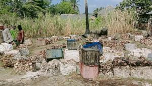 Musim-Hujan-Produksi-Getah-Karet-di-OKI-Anjlok-Bahkan-Harganya-Jauh-Dari-Layak-Rp-12-Ribu-Perkilo.jpg