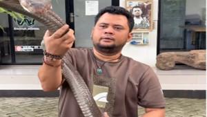 Pawang-ular-sekaligus-YouTuber-Panji-Petualang-menanggapi-insiden-tewasnya-Ocang-70-petani.jpg