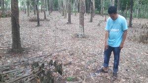 Pelaku-Begal-Aniaya-Petani-Karet-di-Ogan-Ilir-Belum-Terungkap-Korban-Terluka-Berat-di-Kepala.jpg