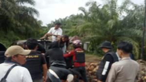 Pemuda-di-Empat-Lawang-Tertangkap-Basah-Saat-Curi-Sawit-Milik-Perusahaan-Kini-Masuk-Penjara.jpg