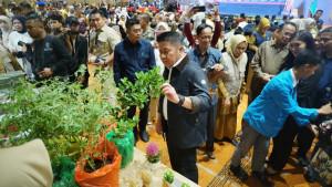 Program-Muatan-Lokal-Mulok-Kemandirian-Pangan-di-tingkat-SMA-dan-SMK.jpg
