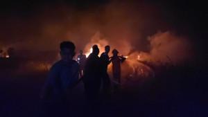 Sebabkan-24-Haktare-Lahan-Terbakar-di-Sungai-Rambutan-Ogan-Ilir-Diduga-Sengaja-Dibakar-Masyarakat.jpg