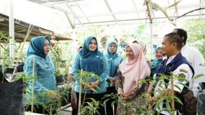 Tinjau-Kelompok-Wanita-Tani-di-Karya-Mulya-Linda-Arlan-Ajak-Aktifkan-Tanam-Sayur-di-Pekarangan.jpg
