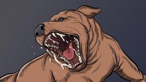 kasus-rabies-di-Kabupaten-Manggarai-Timur-Provinsi-Nusa-Tenggara-Timur-NTT.jpg