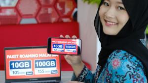 roamax-malaysia.jpg