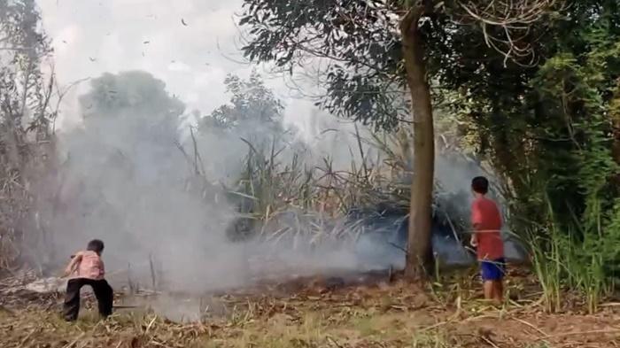 2 Titik Karhutla di Ogan Ilir Terpantau Hari ini Sabtu 9 Agustus 2025, Anak-anak Ikut Padamkan Api