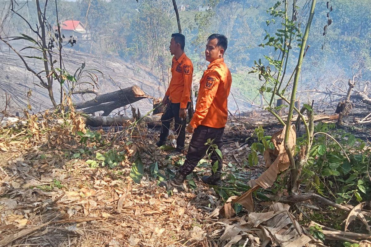 3 Haktare Lahan di Tebing Tinggi Empat Lawang Terbakar, Nyaris Merambat ke Pemukiman Warga