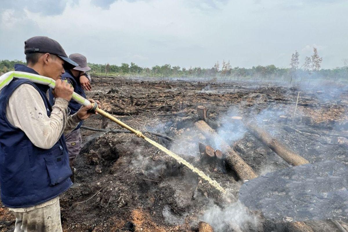 3-Hektare-Lahan-Milik-Warga-Ikut-Terbakar-Akibat-Karhutla-di-Desa-Perigi-Talang-Nangka-OKI.jpg