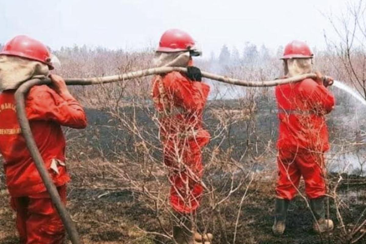 4 Kecamatan di OKI Berpotensi Terjadi Karhutla, Sekda Siapkan Dana Desa Untuk Tangani Karhutla
