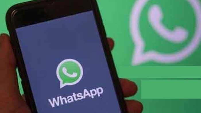 8 Langkah Mudah Cara Membuat Avatar di Whatsapp, Fitur Baru Yang Patut Untuk Dicoba