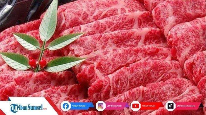 6-Cara-Mudah-Menyimpan-Daging-Kurban-di-Frezer-Agar-Awet-Hingga-Berbulan-Bulan-Terbaru.jpg