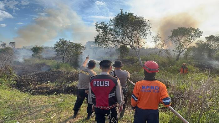 7 Hektar Lahan Terbakar di Palem Raya OI, Polisi Buru Pelaku Pembakaran