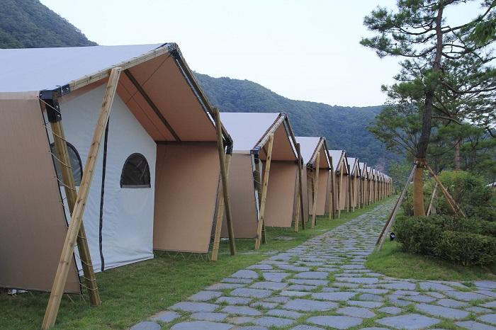 8-Alasan-wisata-glamping-cocok-dilakukan-bersama-keluarga.jpg