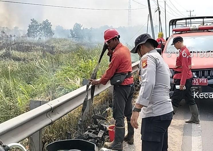 8 Hektare Lahan Terbakar di Dekat Jalinsum Palembang-Indralaya, Diduga Faktor Kesengajaan - Tribunsumsel.com