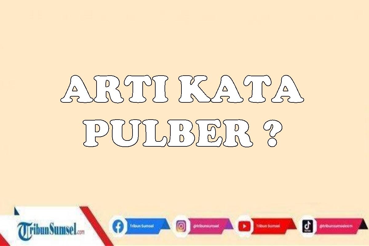 Arti-Kata-Publer-dalam-Transaksi-Online-Begini-Makna-Aslinya-Banyak-Digunakan-Pada-Game-Online.jpg