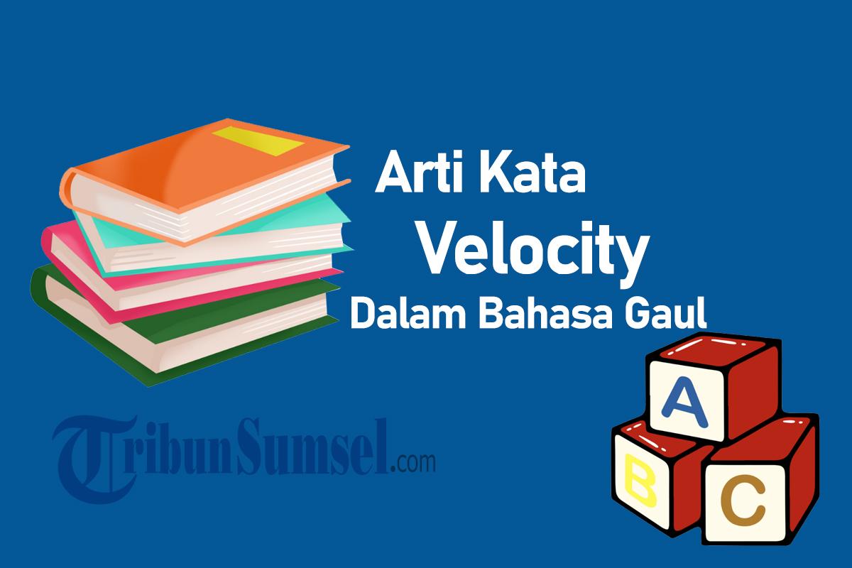 Velocity dalam Bahasa Gaul Artinya Apa? Istilah Viral Kekinian di TikTok dan Instagram