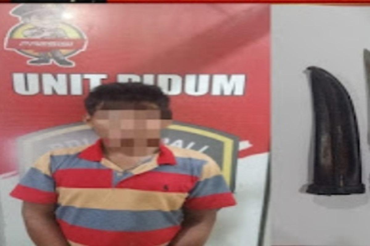 Tak Berkutik, Jagoan Jalanan di PALI Ditangkap Tim Beruang Hitam Usai Tusuk Korban - Tribunsumsel.com