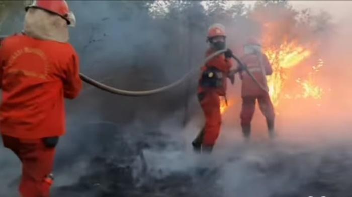 Berjuang-Keras-Padamkan-Api-Di-OKI-Sumsel-Satgas-Karhutla-Hadapi-Kendala-Dari-Akses-Hingga-Stok-Air.jpg