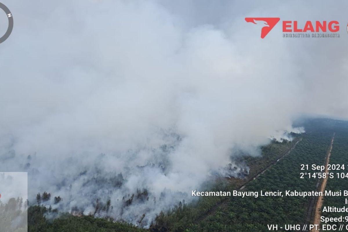 Berulang-Terjadi-Karhutla-Bayung-Lencir-Masuk-Zona-Merah-Puluhan-Hektare-Lahan-Sudah-Terbakar.jpg