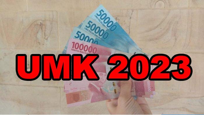 Besaran-UMK-2023-KabKota-OKU-OKU-Timur-OKI-dan-Lubuklinggau-Ini-Gambaran-Nominalnya.jpg