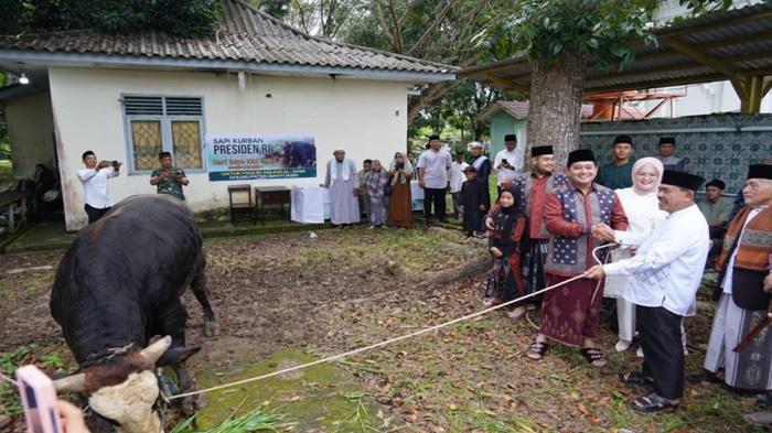 Bupati-Askolani-Serahkan-Sapi-Presiden-Prabowo-ke-Masyarakat-Banyuasin-Ingatkan-Makna-Berkurban.jpg